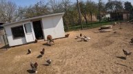Контактный зоопарк экзотических животных (г.Дундага, Латвия) - вам сюда, если любите щупать зверей