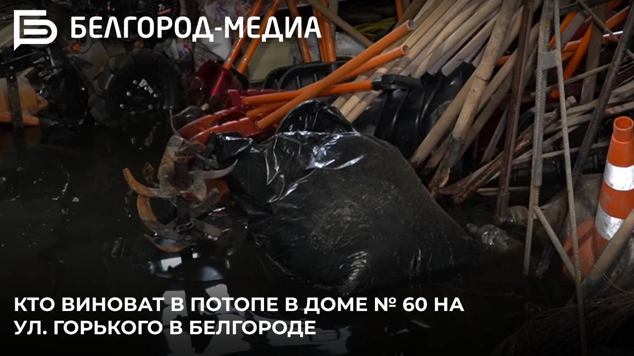 Кто виноват в потопе в доме № 60 на ул. Горького в Белгороде