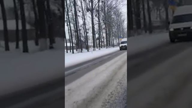День Соборності 2