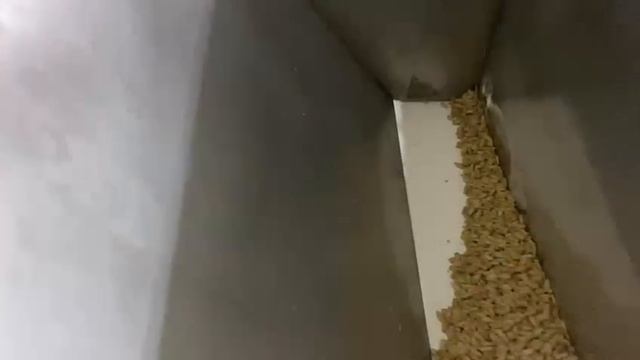 Посыпщик конвейерный с прикаточным валом