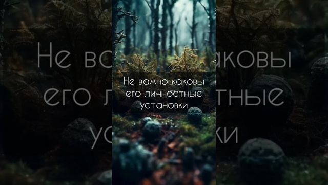 Мозг, игра и ситуация | #мысли #научпоп #наука #философия #интересно #саморазвитие #познание #книги