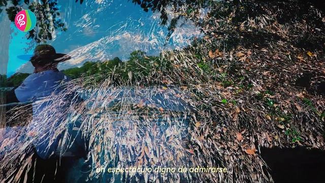 CENTRO ECOTURÍSTICO SALTO GRANDE | CAMPECHE - 4K