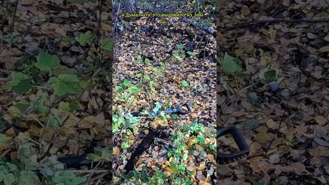Металл выдавливает из земли?