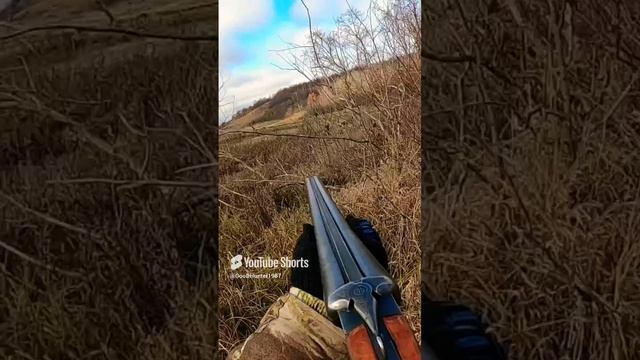 ОХОТА НА КОСУЛЮ ХОРОШАЯ БЫЛА ОХОТА #hunting #охота