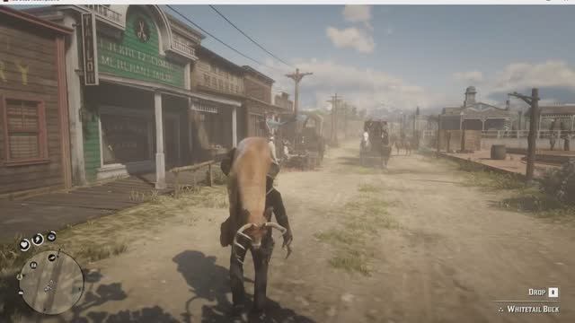 Red dead redemption 2. It's hunting baby.