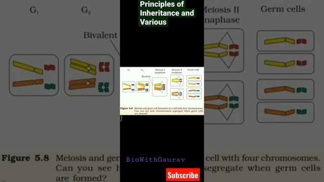 Principles of Inheritance and Variations