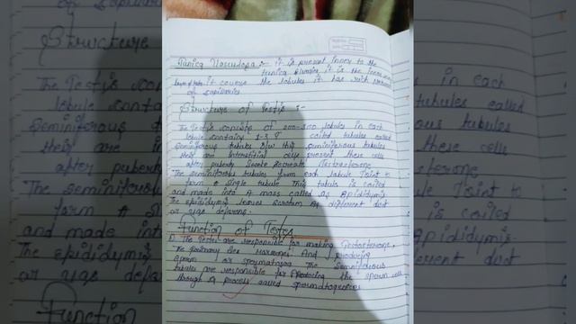 Easy Notes on Male reproductive system