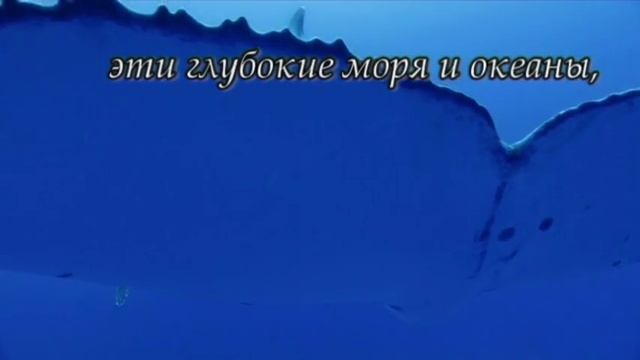 Нет глупее человека разумного