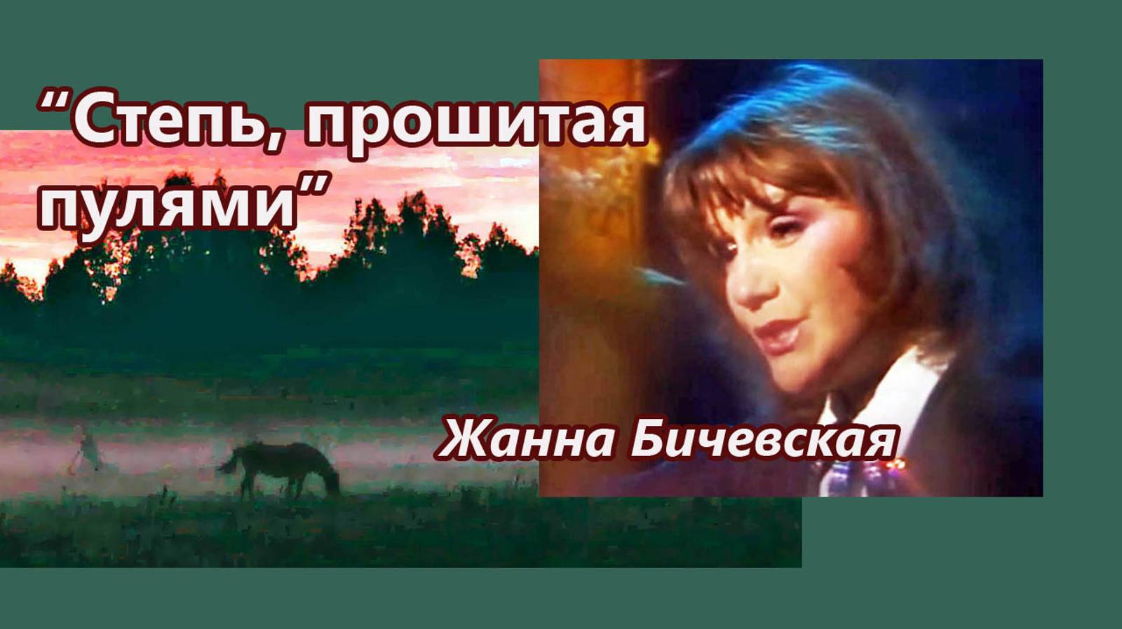 Жанна Бичевская - Степь, прошитая пулями