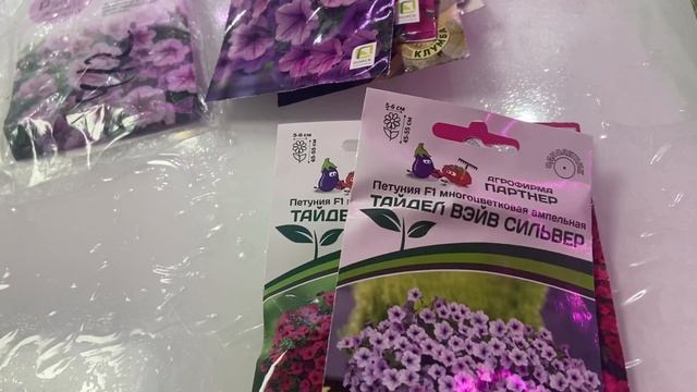Обзор семян петунии .