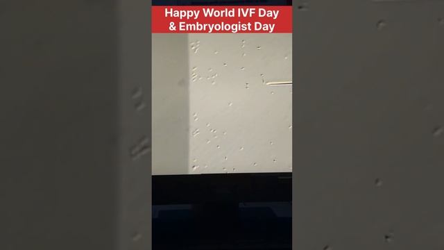 Happy World IVF Day and Embryologist Day #ivf #ivfjourney #ivfsuccess #worldivfday #embryology
