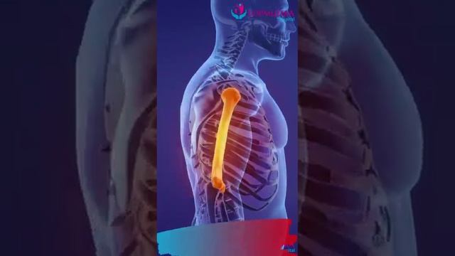 Vitamin Deficiency and their Symptoms | Lopmudra Hospital