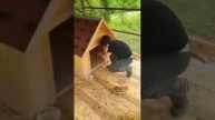 🦊Милота с утра: Лисьи новости