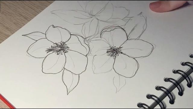 ТАТУ Мастер рисует: HELLEBORE