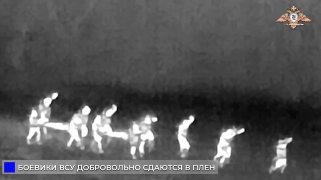 Подразделение 79-й бригады ВСУ попало в окружение в Курахово и полным составом сдалось в плен.