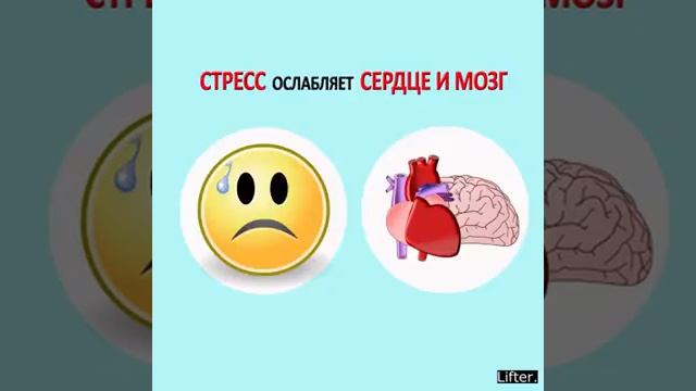 Какие эмоции влияют на организм человека