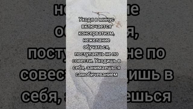 Суть имени Алексей #нумерология #квантоваянумерология #значениеимени