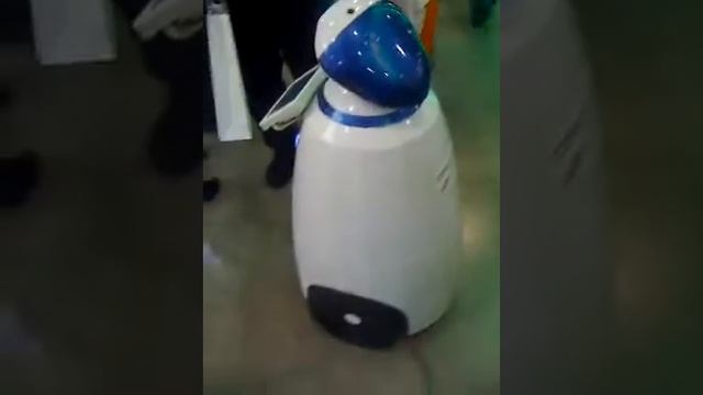 Выставка, робот 2