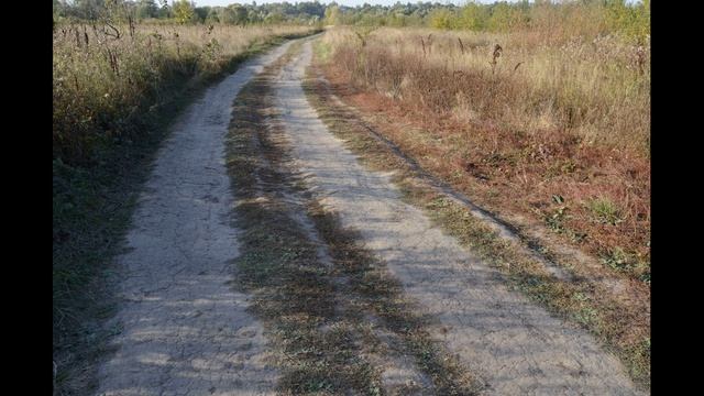 Иеромонах Роман, игуменья Теодора (Васич). Яблони детства