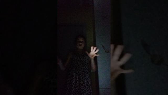 lv_0_20241110204028.mp4