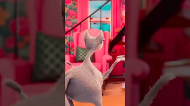 funny cat dancing