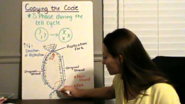 DNA Replication