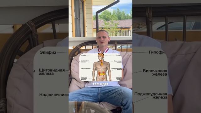 Чакры. Что это такое с точки зрения энергий и нашего тела?