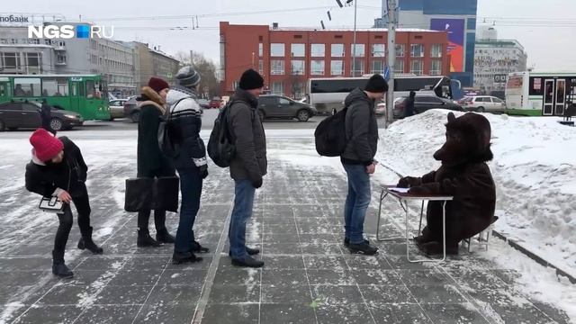 На площади Ленина открылась общественная приёмная медведя