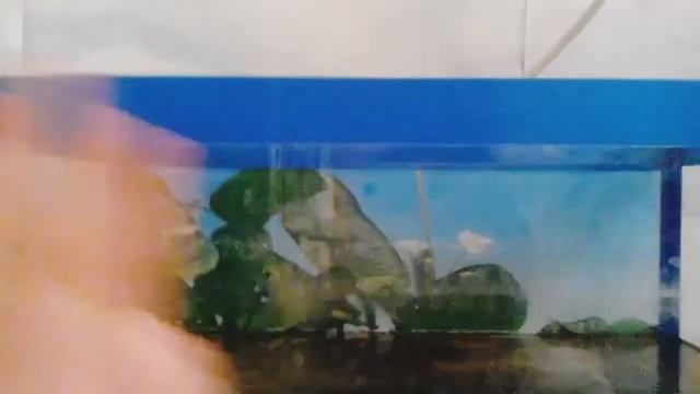 ПОЖИРАТЕЛЬ куриной печени!!!