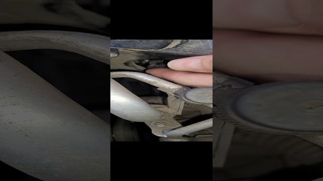 1000062448.mp4