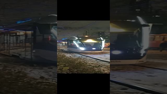 Первый снег