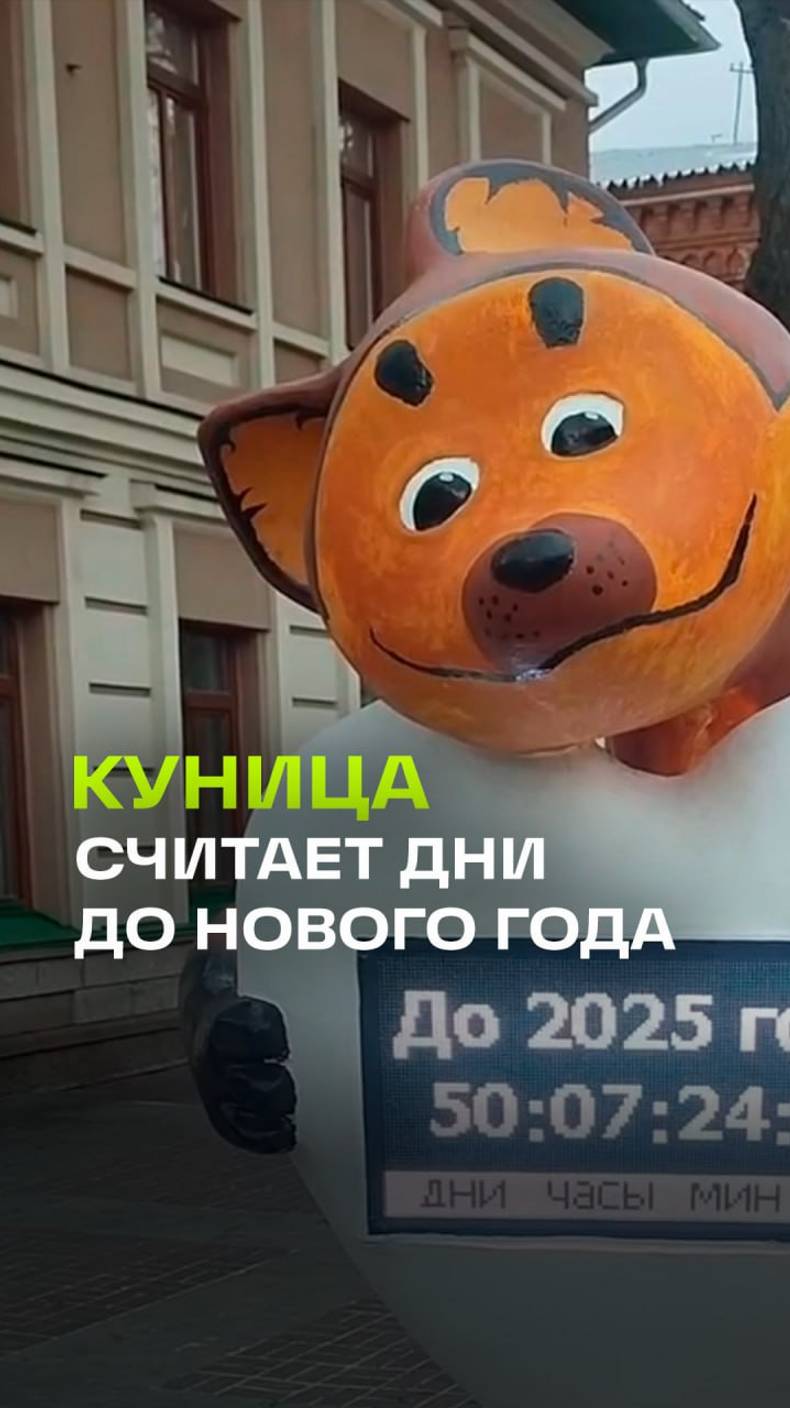 Криповая куница отсчитывает дни до Нового года в центре Уфы