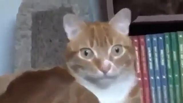 когда осознал всю тленность бытия