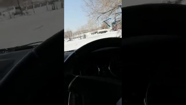 Первые впечатления клиента .Delica D5