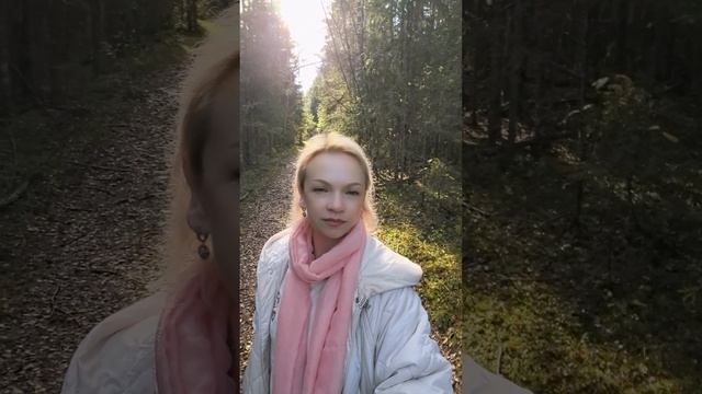 Лесная аллея - это вам не городской парк #природа #лес #красота #очарованиеприроды