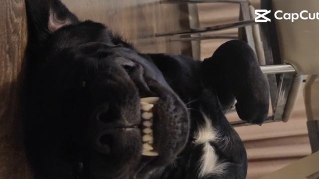 lv_6974642246687755521_20241110185217.mp4