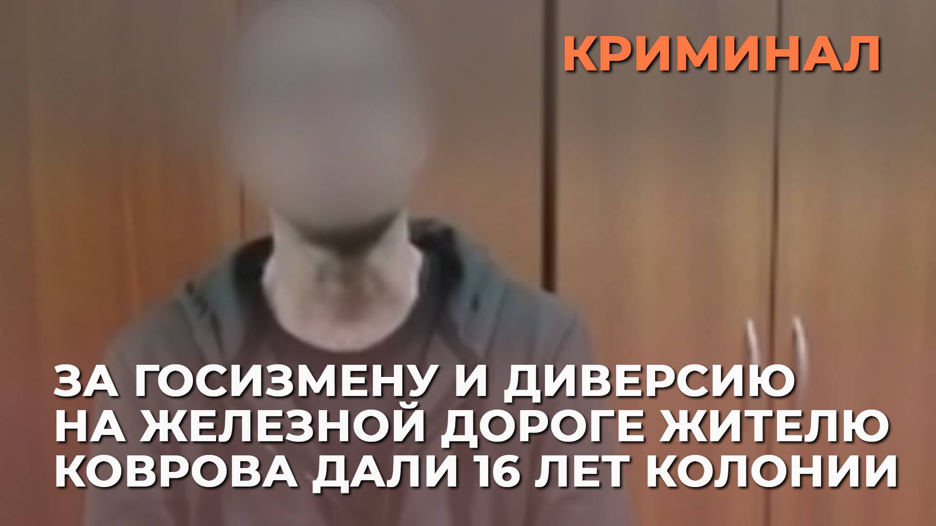 За госизмену и диверсию на железной дороге жителю Коврова дали 16 лет колонии