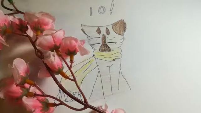 Будущее канала. Видео с разговорами. Подпишитесь,пожалуйста!