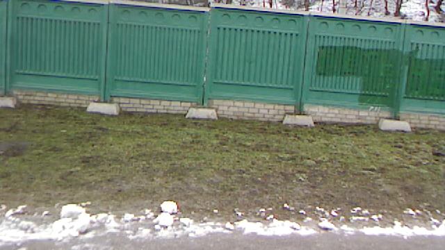 День Соборності України - 22 січня 2011 - підготовка (2/7)