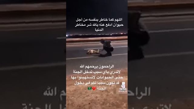 #هل انتهت الانسانية في زماننا#لايك_واشتراك