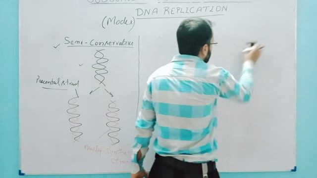 Modes of DNA replication