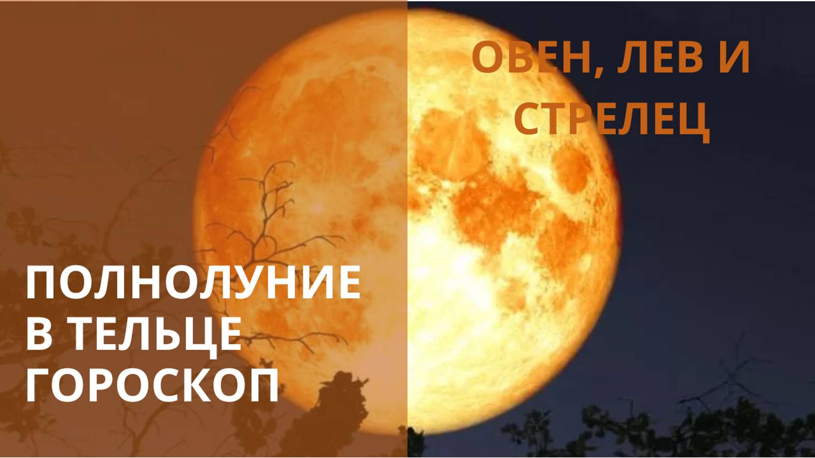 ♈♌♐ ПРОГНОЗ НА ПОЛНОЛУНИЕ ✨ ОВЕН, ЛЕВ И СТРЕЛЕЦ – ЗНАКИ ОГНЯ✨ Контакты floransia@yandex.ru
