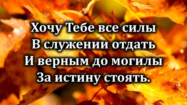 № 252 Лишь за Тобой, Спаситель _ Караоке с голосом _ Христианские песни _ Гимны