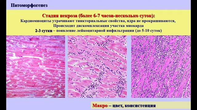Лекция: 12.02. 16.10