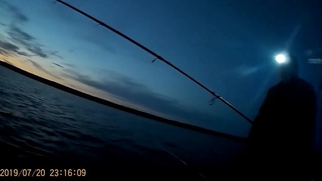 ОНЕЖСКОЕ ОЗЕРО 20.07.2019 ТРОЛЛИНГ + ИХТИАНДР ))