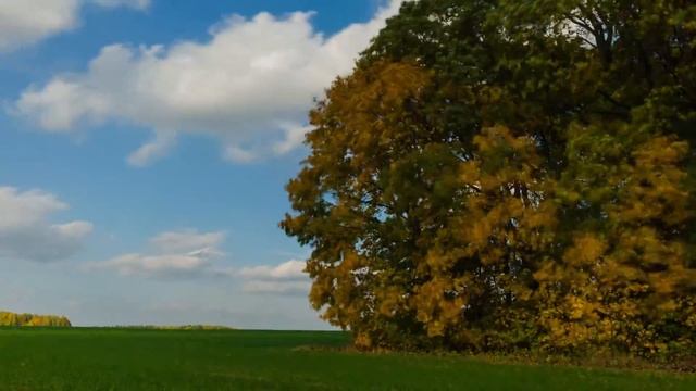 [15-09]DSC_8247-8381