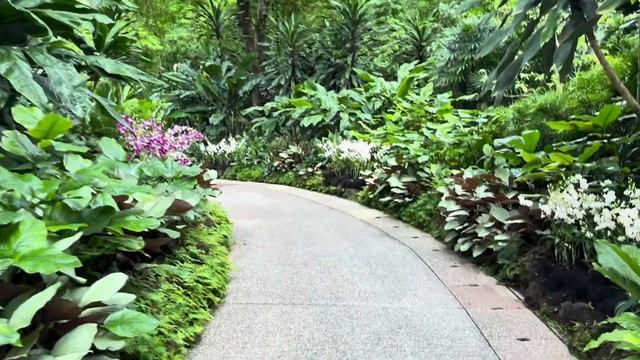 Orchids Heaven part 2/2