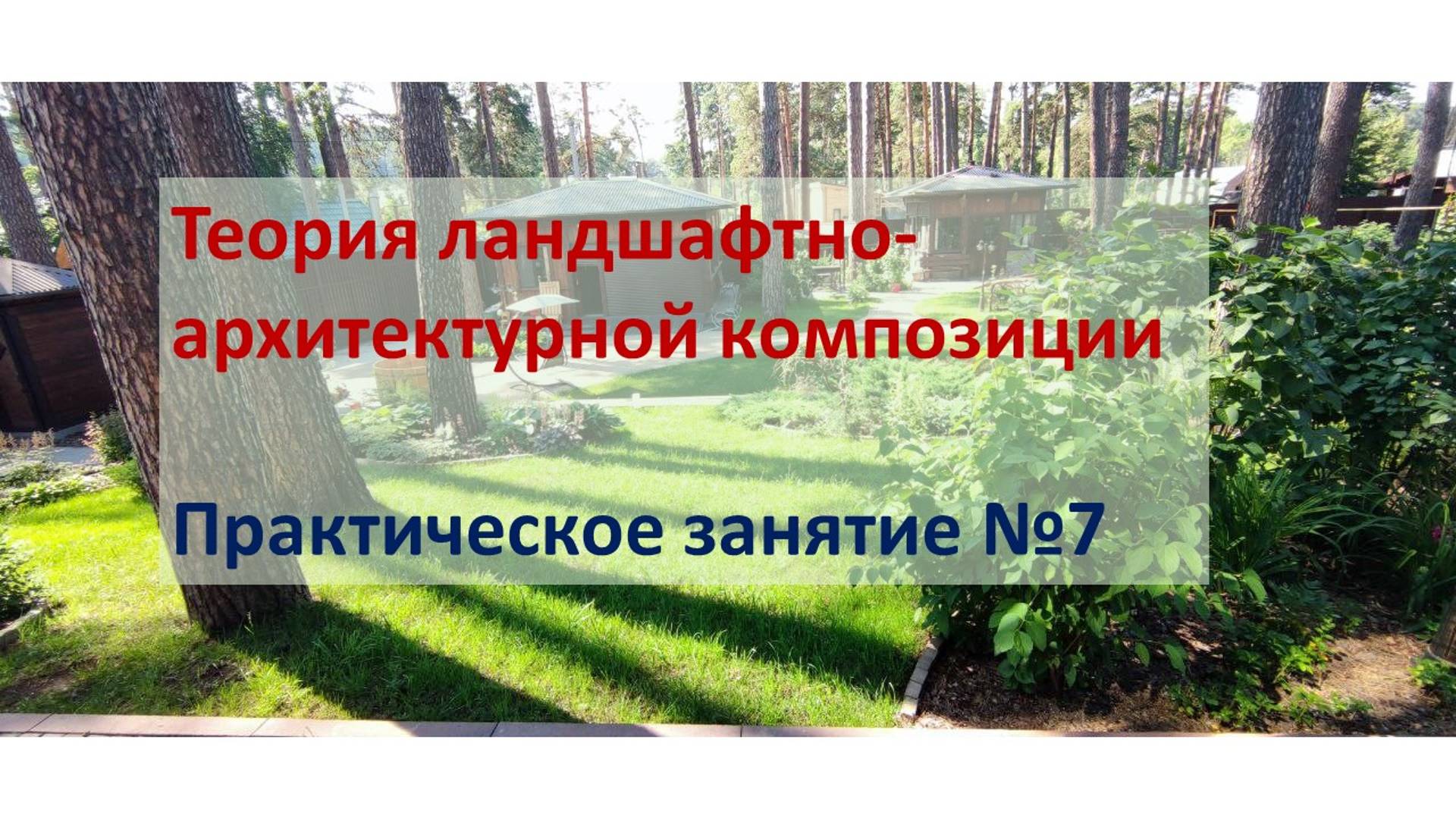 video1094064849