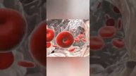 какая связь между увеличенной печенью и сахарным диабетом