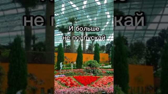 1000008547.mp4